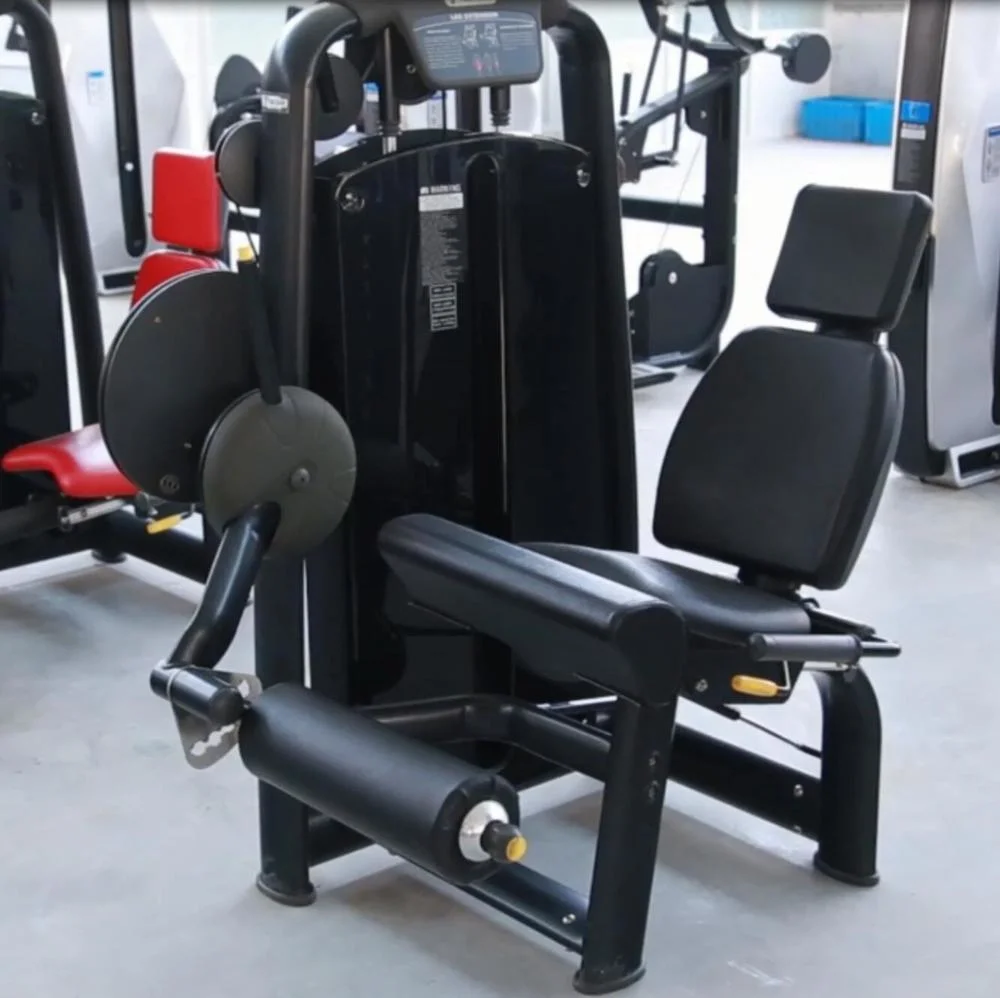 Flat Bench Free Weight with Dumbbell for Home Gym